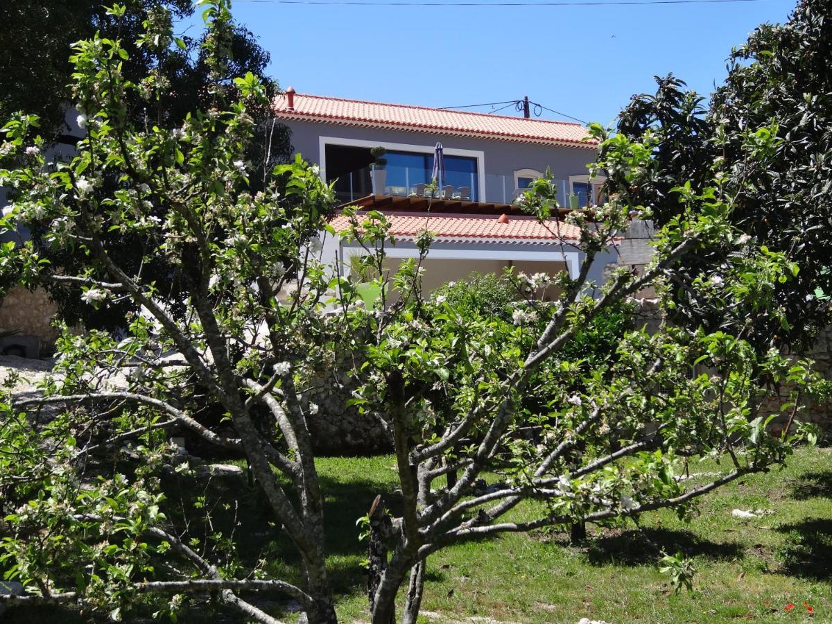 Casa Da Riguerinha Bed and Breakfast Monsanto Eksteriør billede