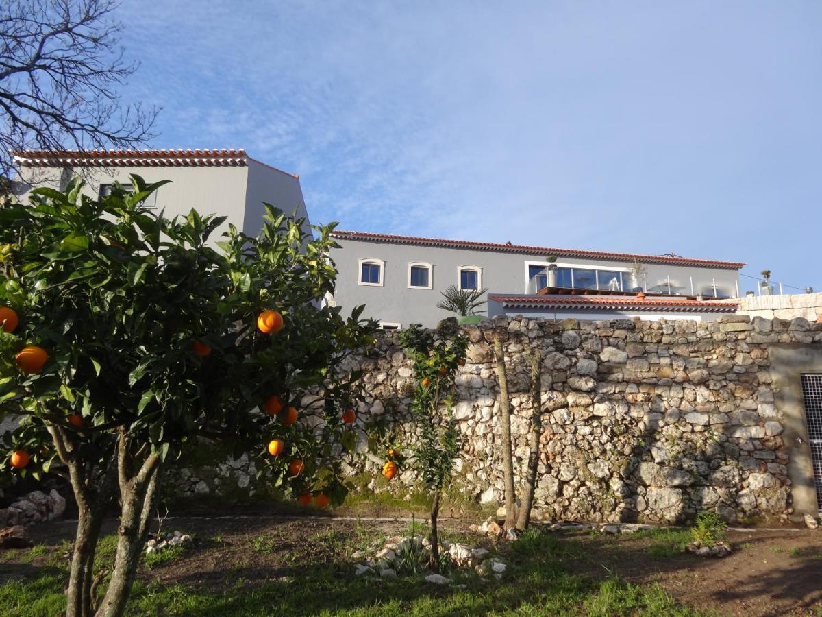 Casa Da Riguerinha Bed and Breakfast Monsanto Eksteriør billede